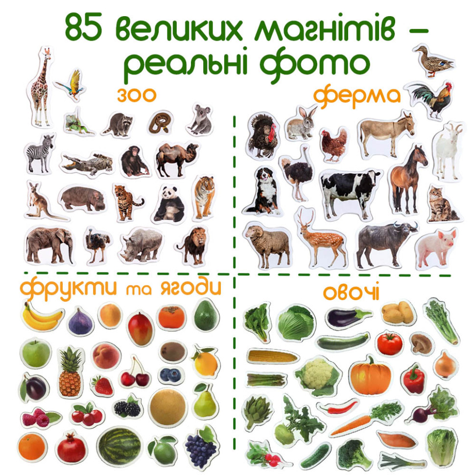 Набір магнітів 