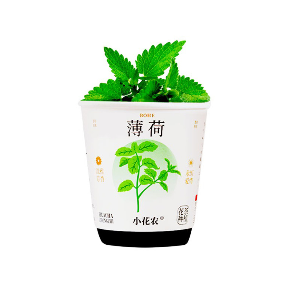 Ботанические эксперименты 