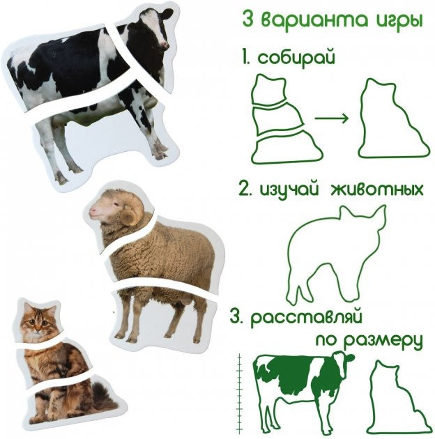 Магнитные пазлы 