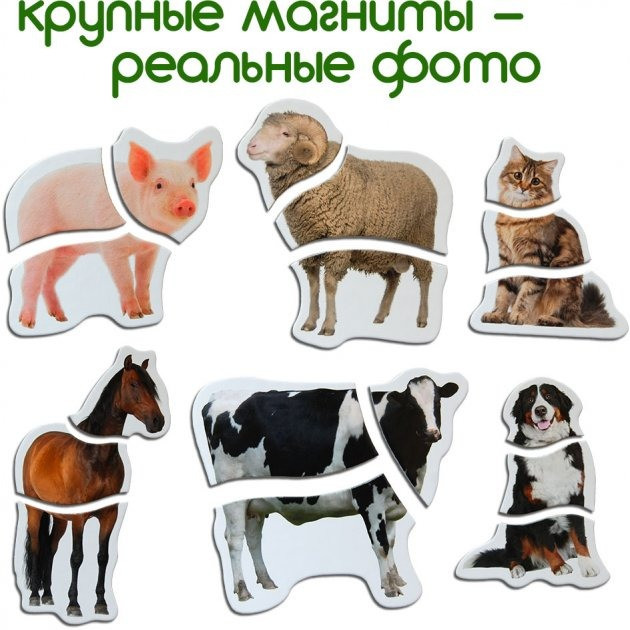Магнитные пазлы 