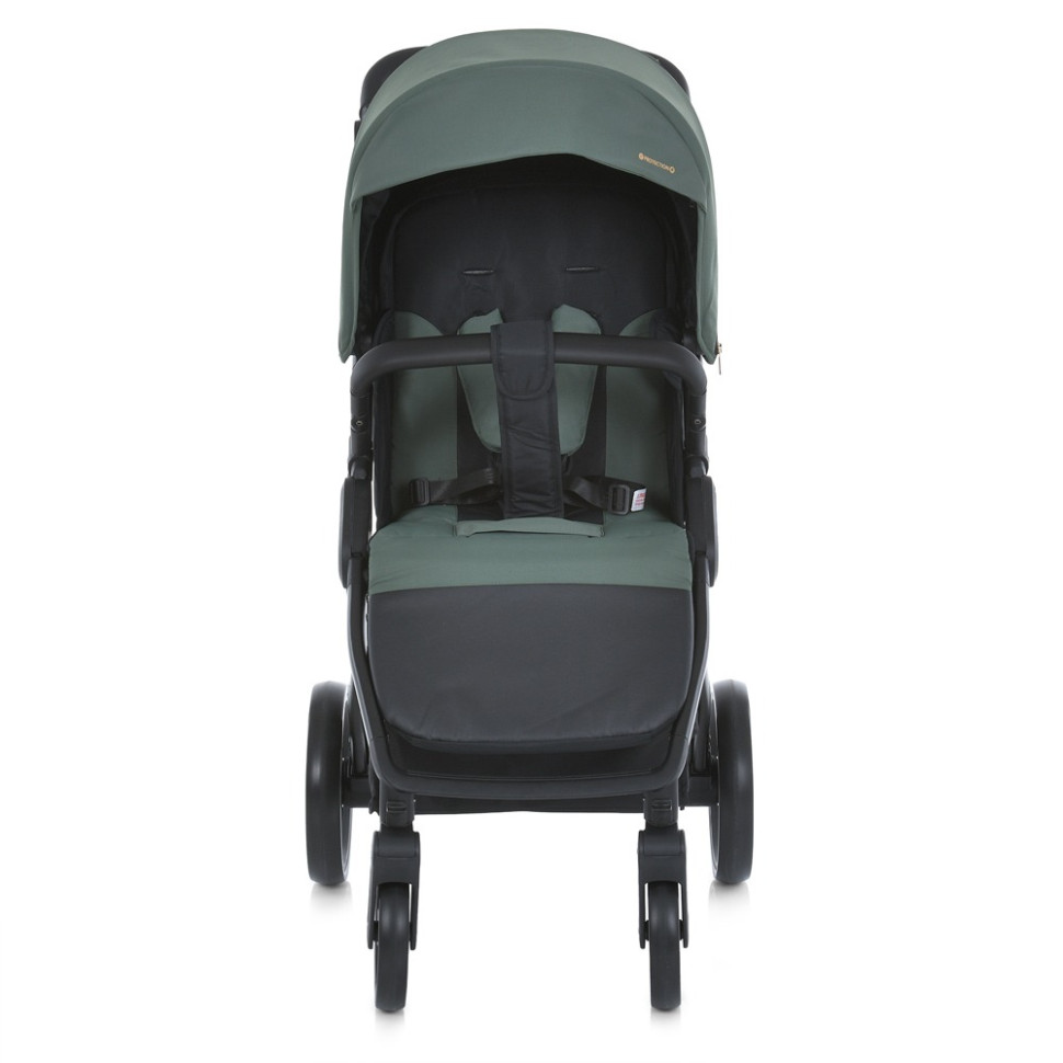 Коляска детская прогулочная DYNAMIC PRO El Camino ME 1053-3 Forest Green