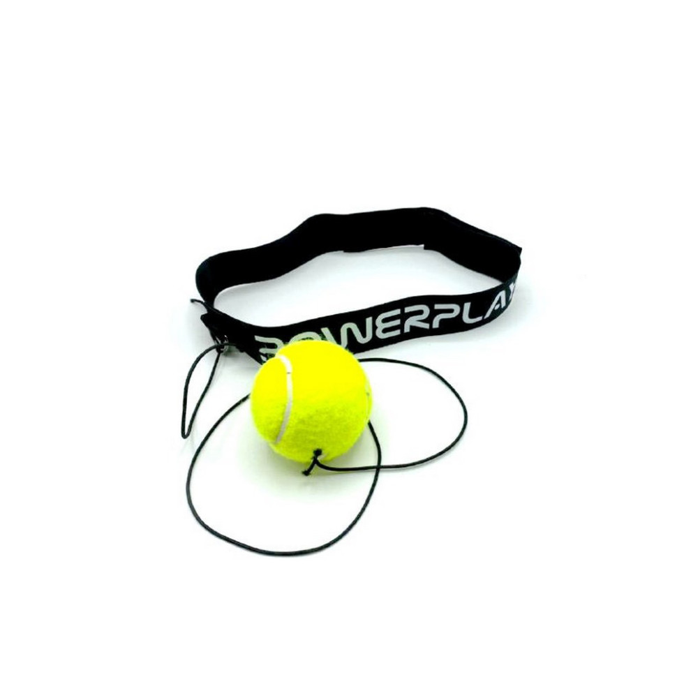Файтбол Fight Ball PowerPlay PP_4319 черный