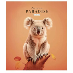 Тетрадь общая "Love in paradise" Школярик 036-3256L-3 в линию, 36 листов