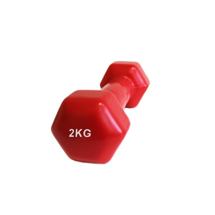 Аэробная виниловая гантель VDD-01 Fitnessport 10173FS, красный 2 кг