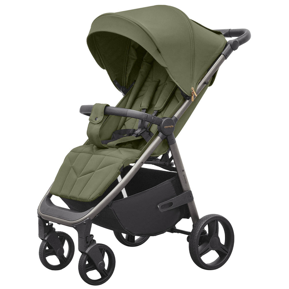 Дитяча прогулянкова коляска Bravo Carrello CRL-8512PU Pomelo Green