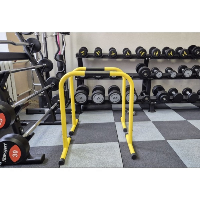Брусья напольные для отжиманий FF71I1A Generation Fitness 522863FS