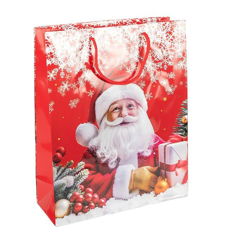 Пакет подарунковий