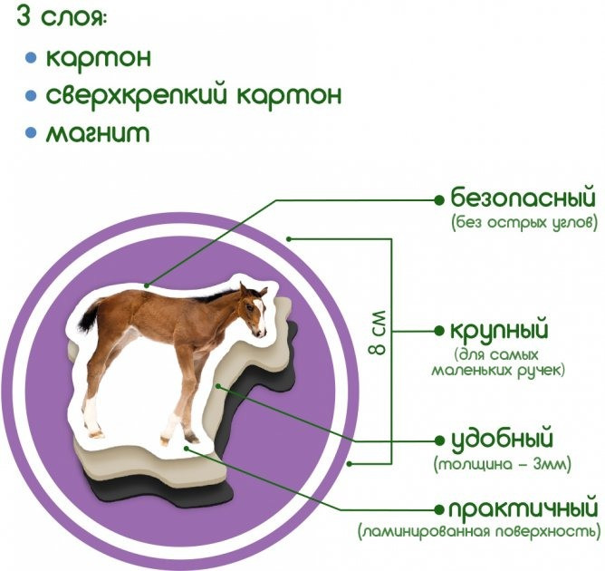 Набор магнитов 