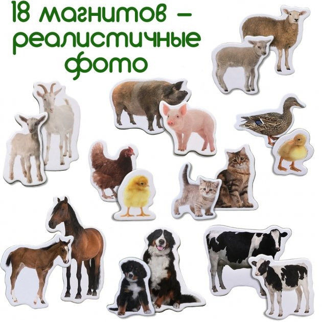 Набор магнитов 