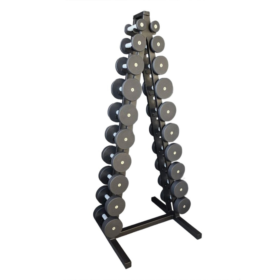 Гантельный ряд со стойкой Profi Newt NE-PS-222-022 от 1 кг до 10 кг