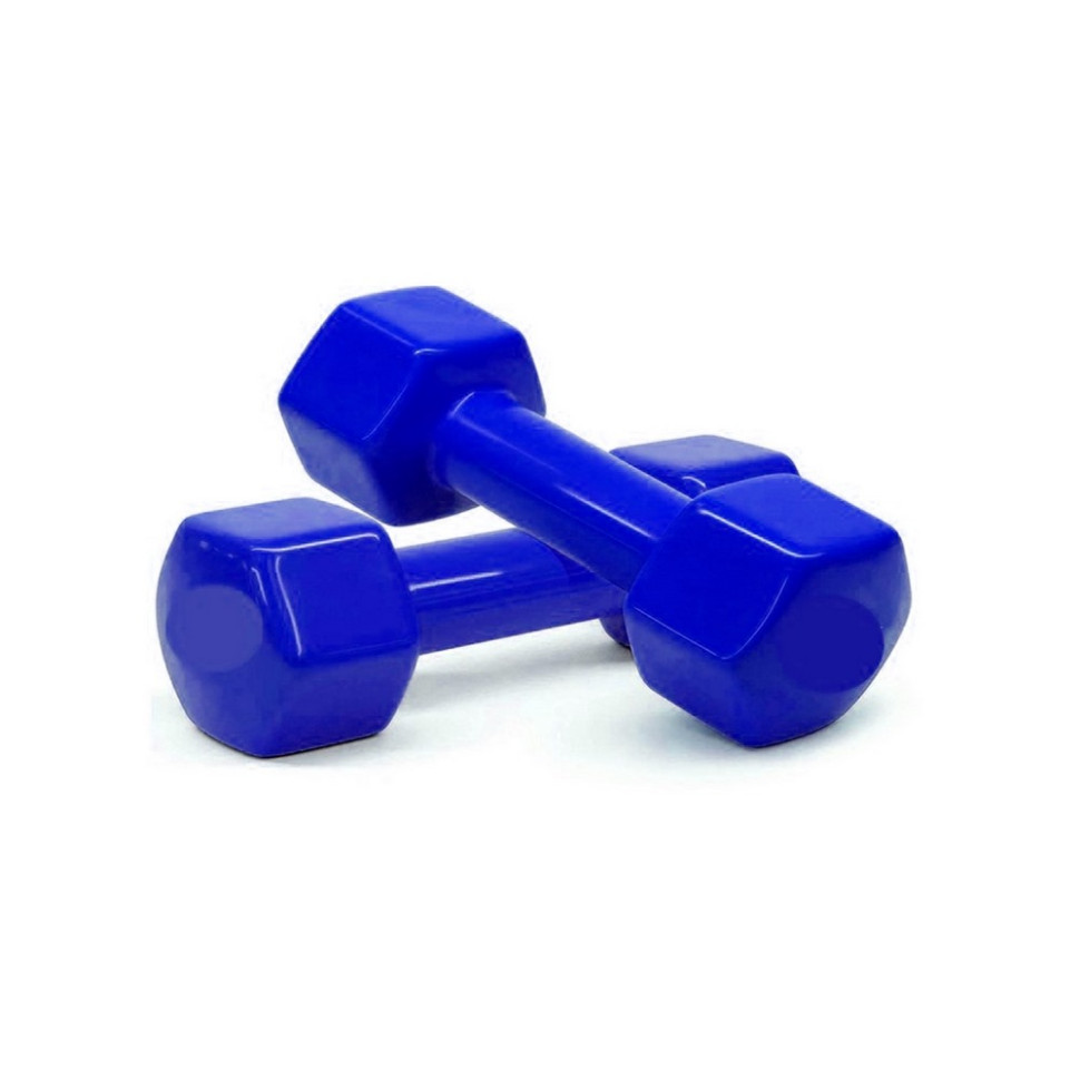 Гантели для фитнеса Vinyl Newt NE-VIN-15-B 2 шт по 1,5 кг, синие