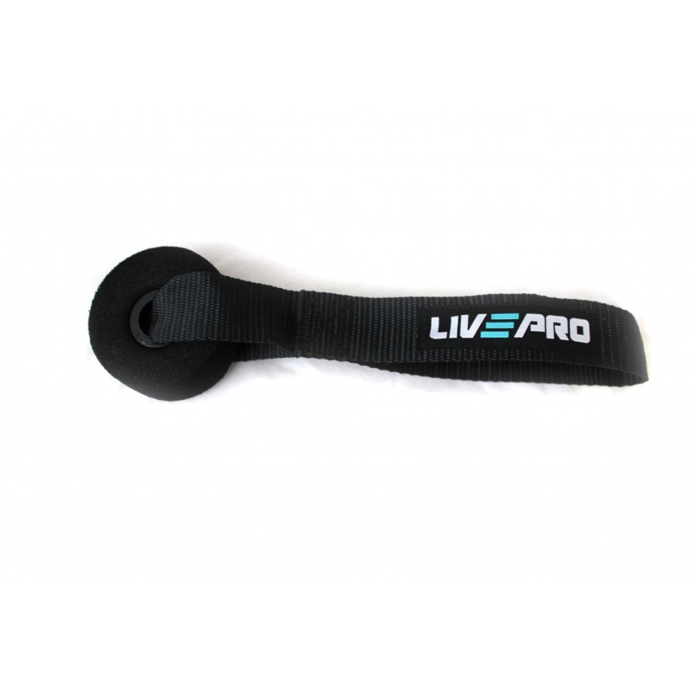 Фиксатор для эспандера DOOR ANCHOR LivePro LP8403 черный 