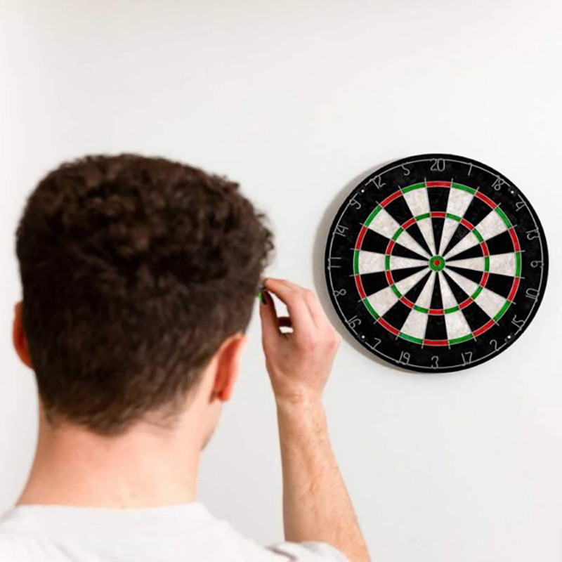 Дартс классический Profleisure Dartboard Newt NE-LG-DRT18, 45 см с дротиками