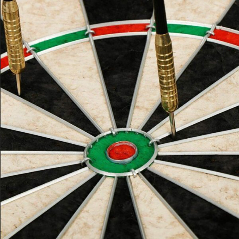 Дартс классический Profleisure Dartboard Newt NE-LG-DRT18, 45 см с дротиками