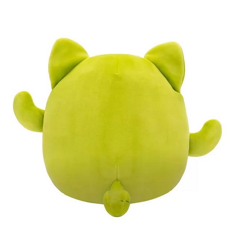 М'яка іграшка КАКТУС КІШКА МІСС Squishmallows SQCR06594, 19 см