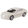 Машина металлическая BENTLEY CONTINENTAL GT "WELLY" 44036CW масштаб 1:43