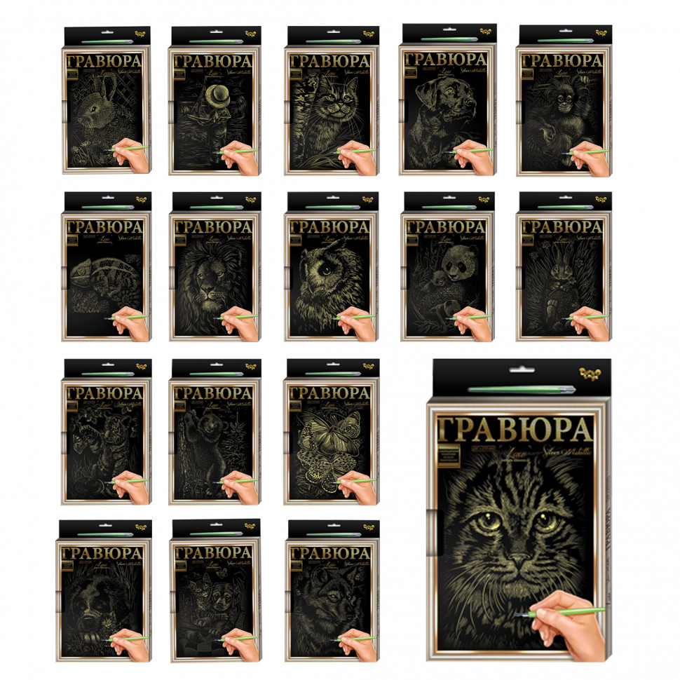 Гравюра А-4 Danko Toys L-GrA4-02 с рамкой