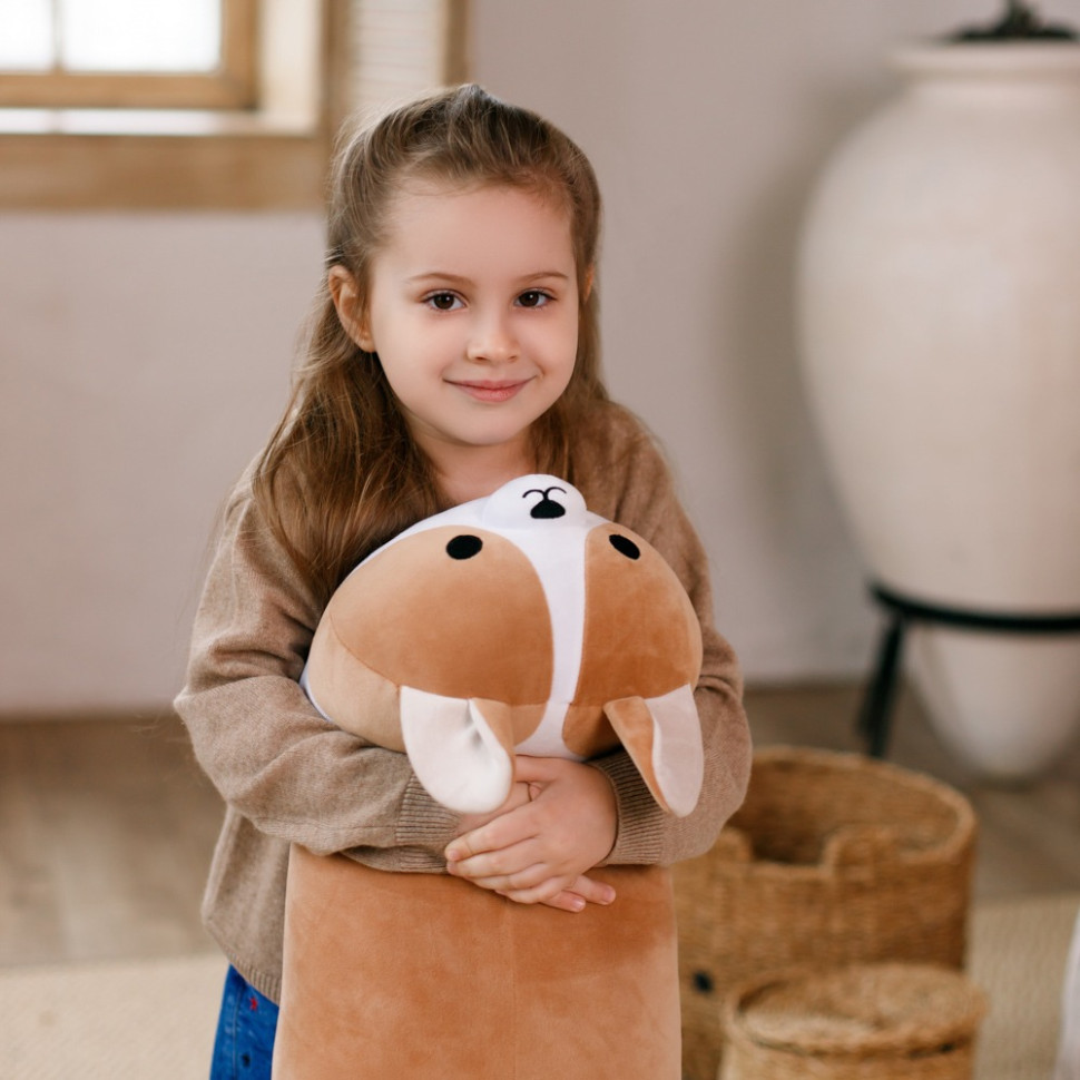 Подушка декоративная собака Корги Норман WP Merchandise FWPDOGCORGI23BG70