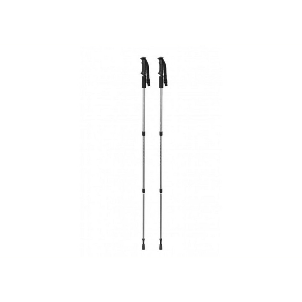 Палиця для скандинавської ходьби Energia EasyFit EF-2417-G, сіра