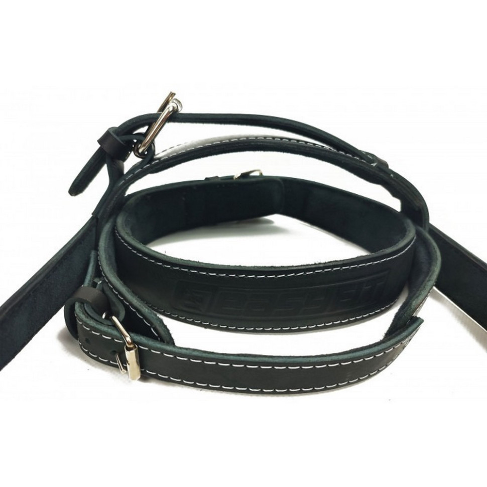 Упряж для шиї BISON EasyFit EF-HLBSNBK, чорна (шкіра)
