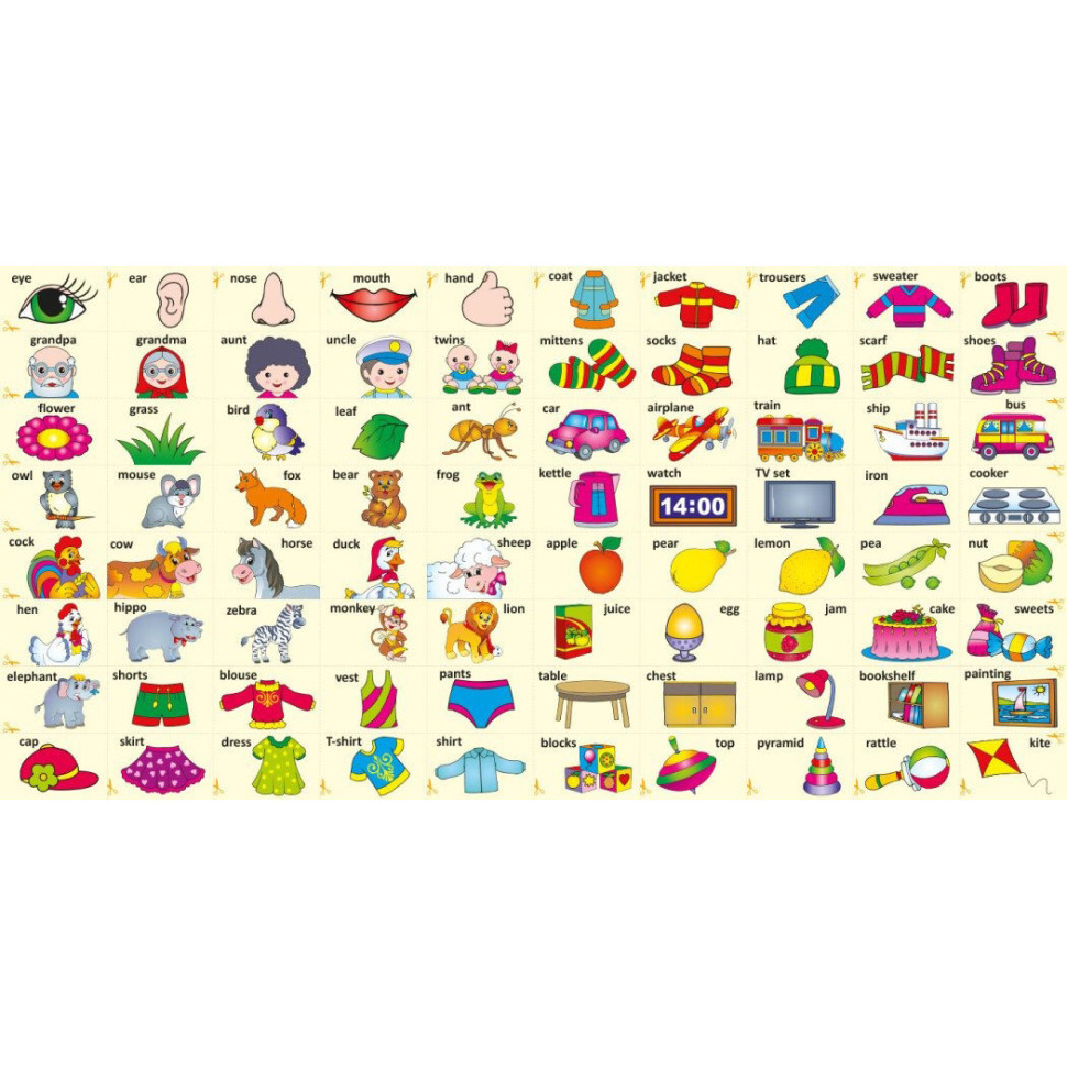 Дитяча книга Розвивалочка