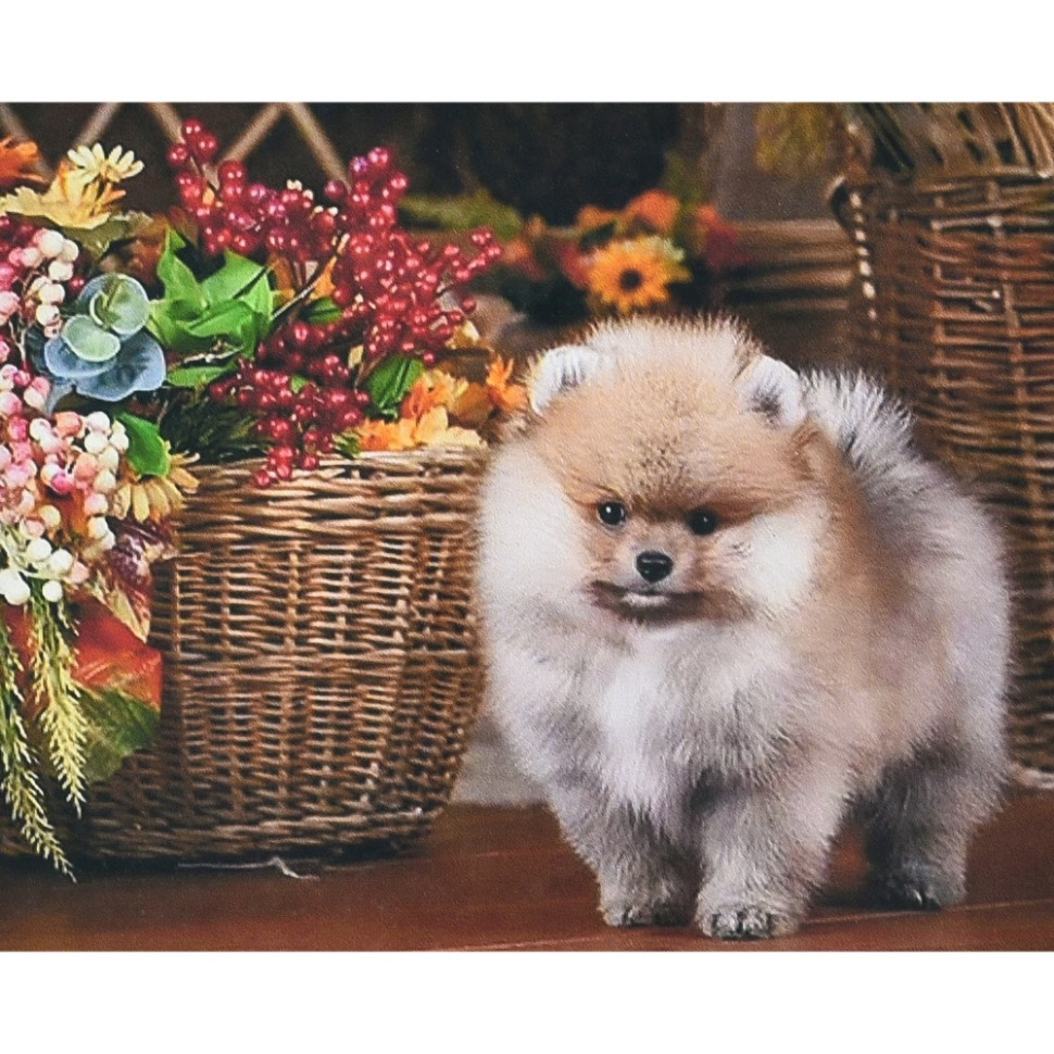 Алмазная мозаика 