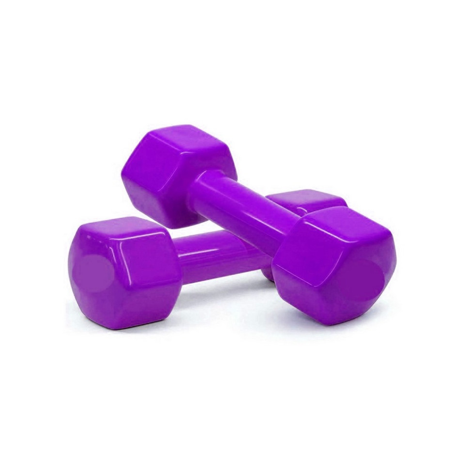 Гантели для фитнеса Vinyl Newt NE-VIN-3-V 2 шт по 3 кг, фиолетовые