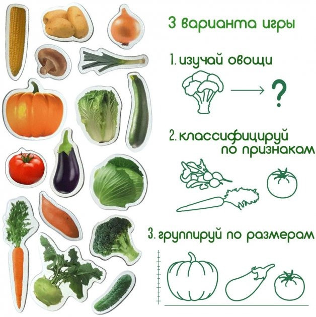 Набор магнитов 