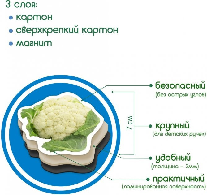 Набор магнитов 