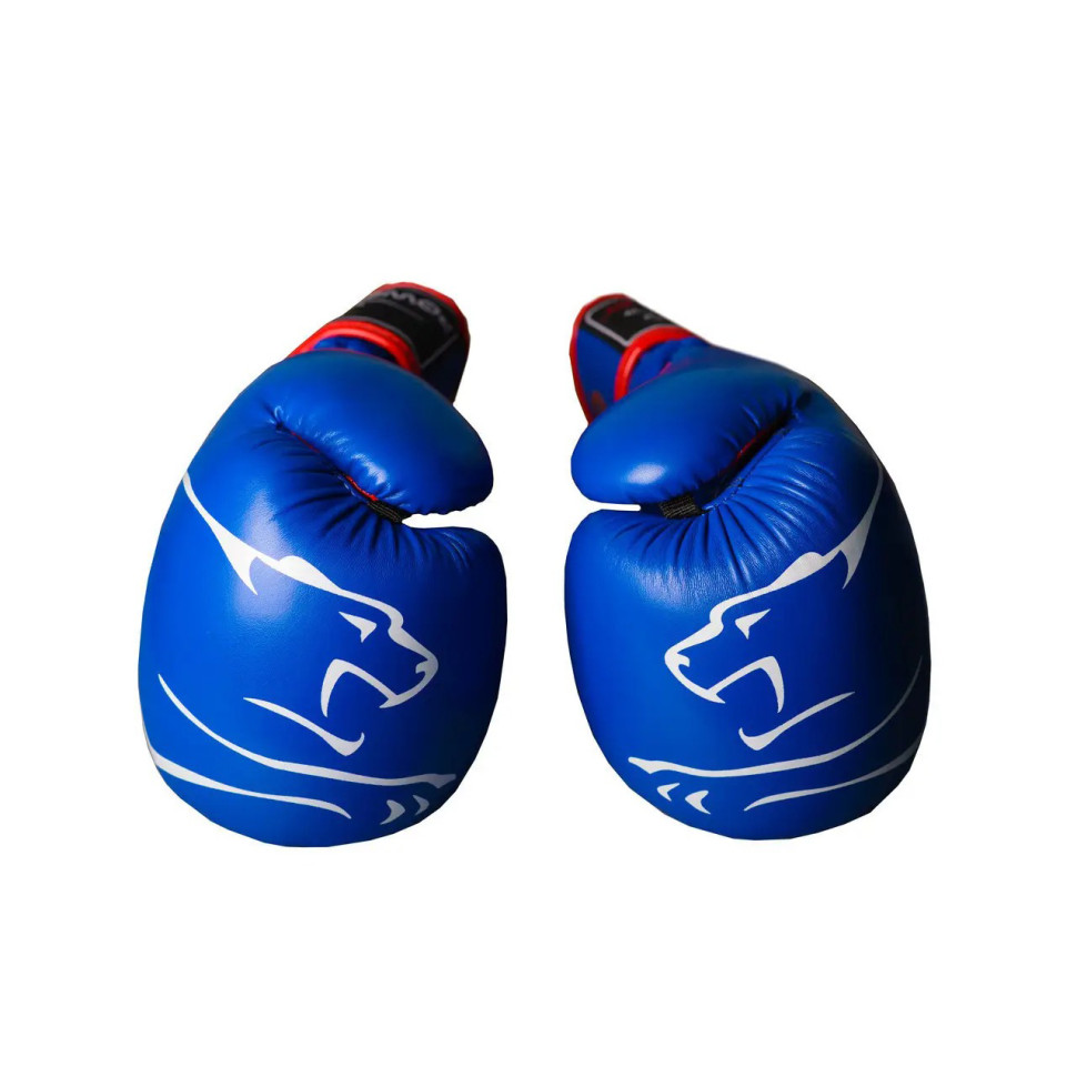 Боксерские перчатки Jagua PowerPlay PP_3018_16oz_Blue, Синие 16 унций