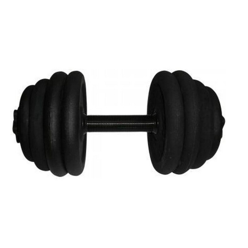 Гантель наборная литая Newt 18,5 кг NE-300-GP019