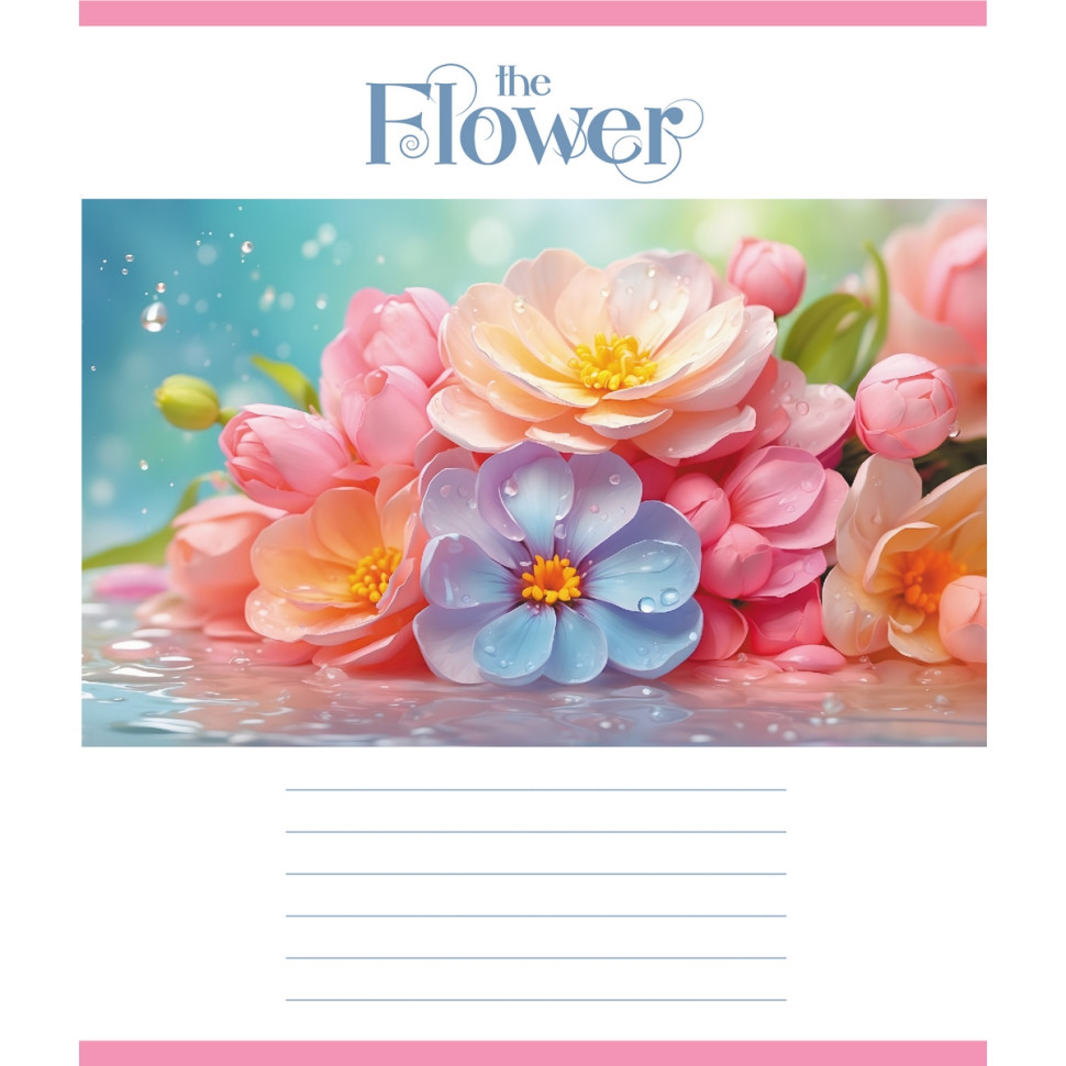 Тетрадь ученическая 