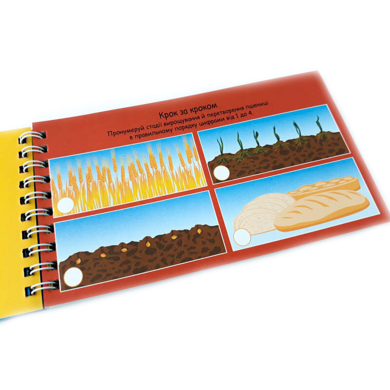Навчальна книга Цифри 4+ Грайкі ZIRKA 123003