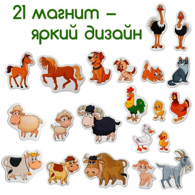 Набір магнітів 