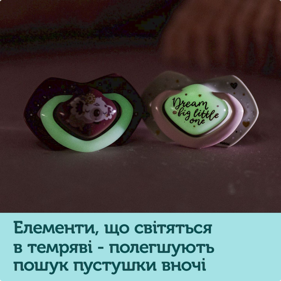Пустушка силіконова симетрична Sleepy Koala Canpol babies 22/660_blu 2 шт, 18+ місяців