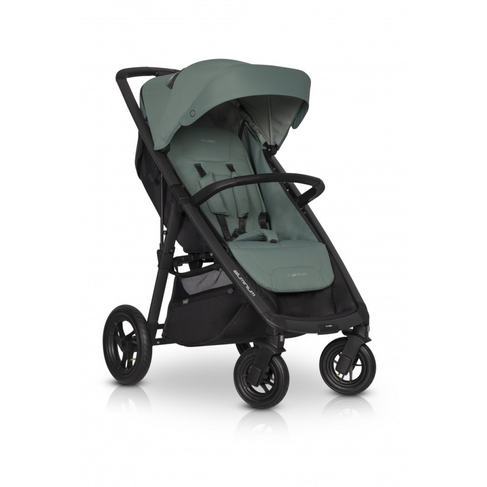 Коляска прогулочная EasyGo Quantum 9023-EGQ-19 Agava до 22 кг