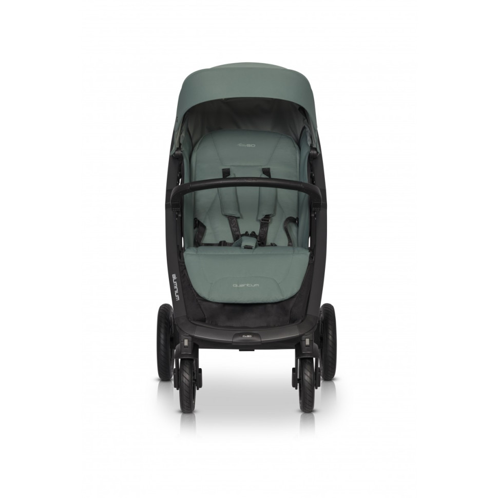 Коляска прогулочная EasyGo Quantum 9023-EGQ-19 Agava до 22 кг