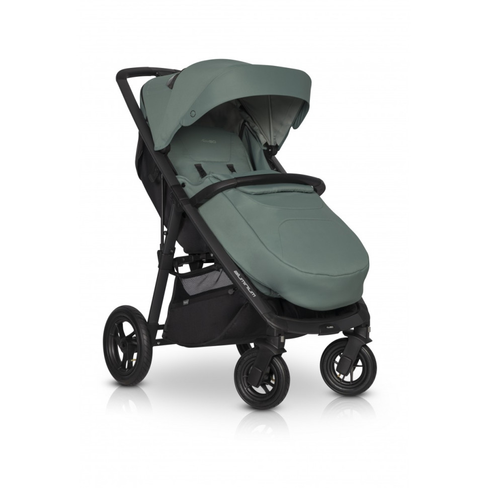 Коляска прогулочная EasyGo Quantum 9023-EGQ-19 Agava до 22 кг