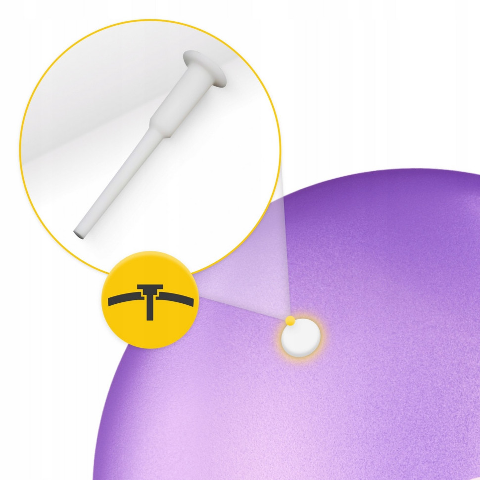 Мяч для пилатеса и реабилитации 4FIZJO P-5905973404860 Violet 22 см 