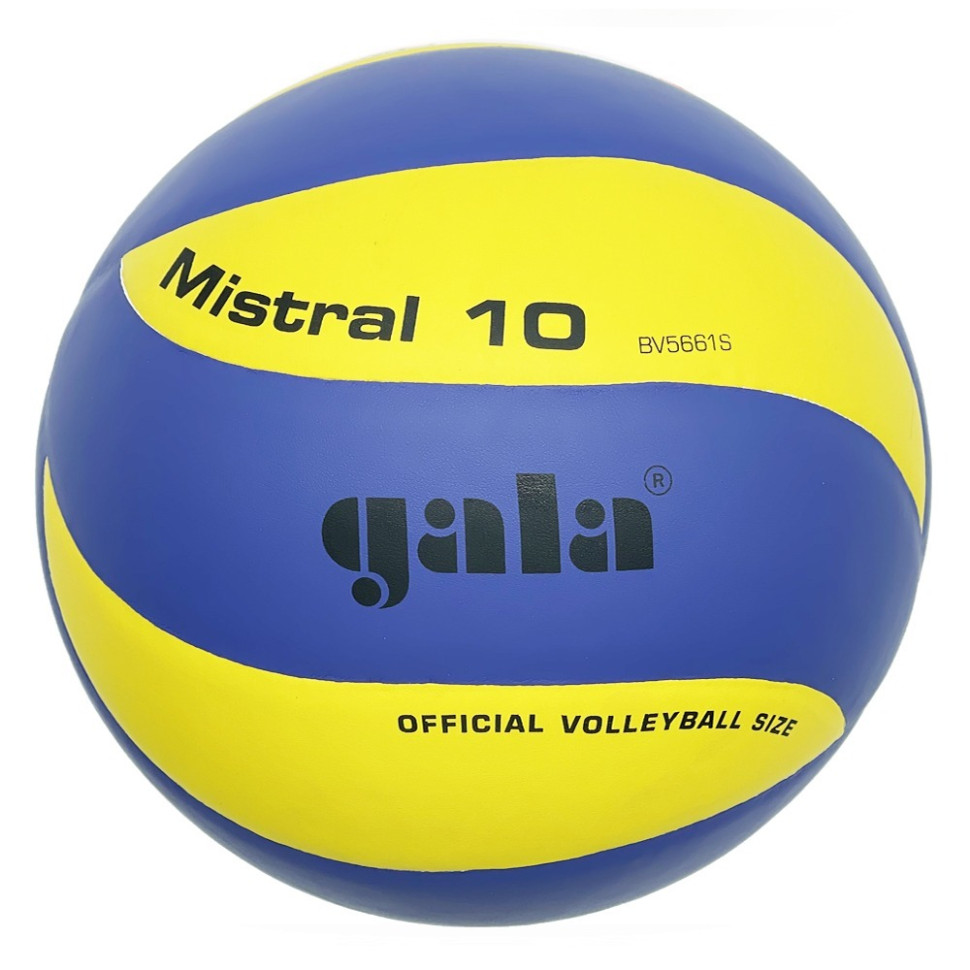 М'яч волейбольний тренувальний Mistral 10 Gala NE-GALA-M10 № 5