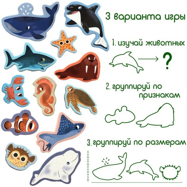 Набор магнитов 