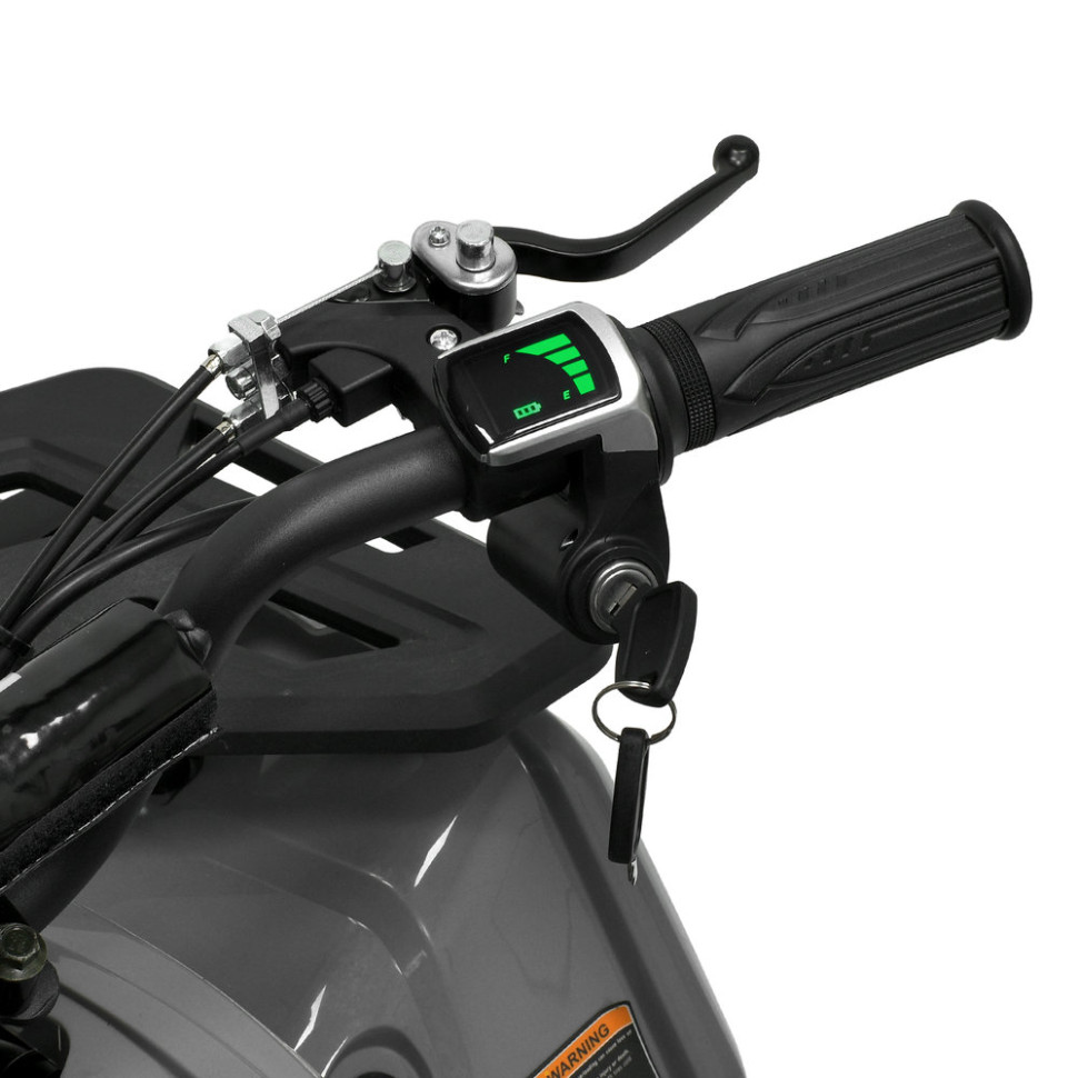 Дитячий електромобіль Квадроцикл Prof1 HB-FFA1000-11-5(MP3) до 65 кг