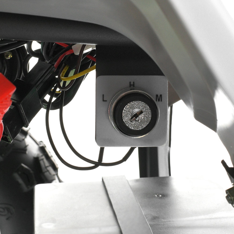 Дитячий електромобіль Квадроцикл Prof1 HB-FFA1000-11-5(MP3) до 65 кг