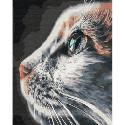 Картина по номерам "Котопрофиль" Brushme BS51792, 40х50 см
