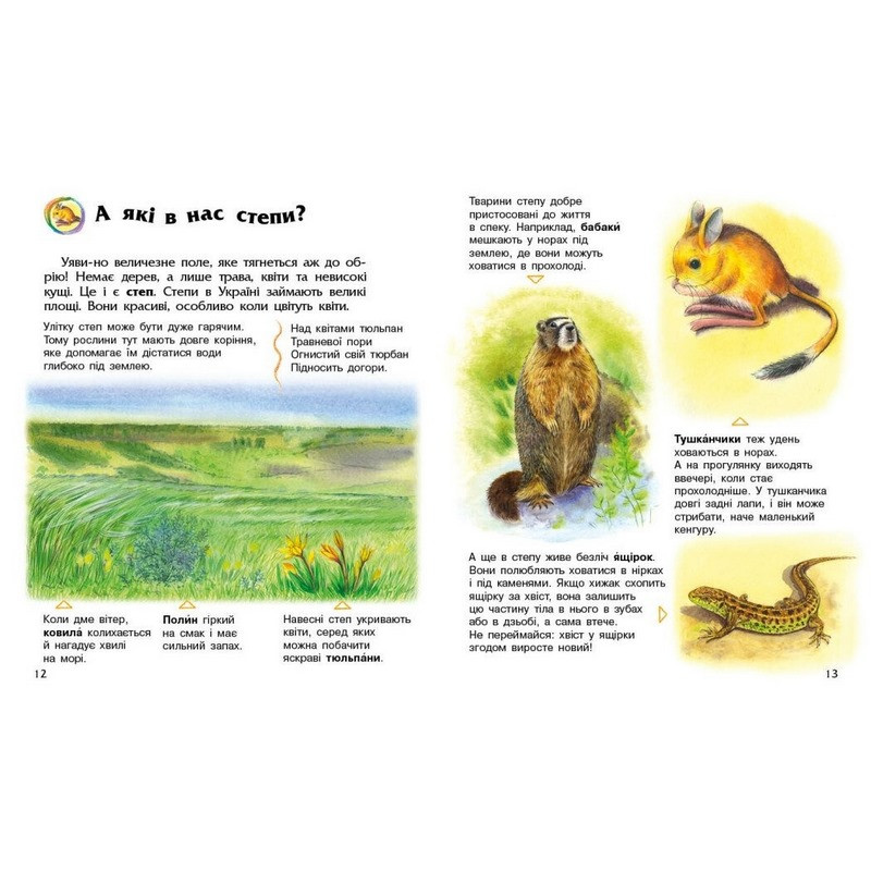 Дитяча книжка