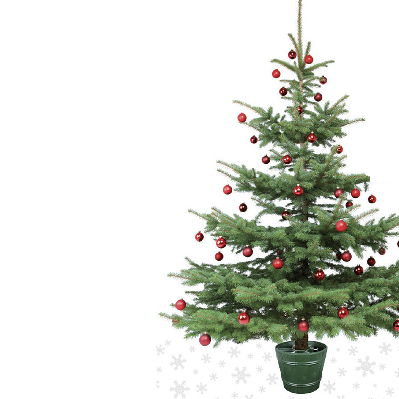 Підставка для ялинки Form-plastic 5907474317946 пластик, 11 л, темно-зелена