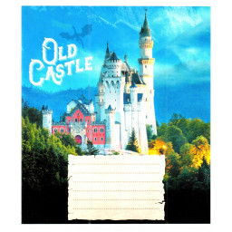 Тетрадь общая "Старые замки" Leader 048-600179L-4 в линию, 48 листов (959060)