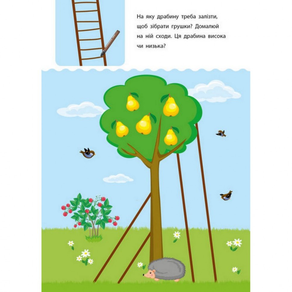 Обучающая книга 