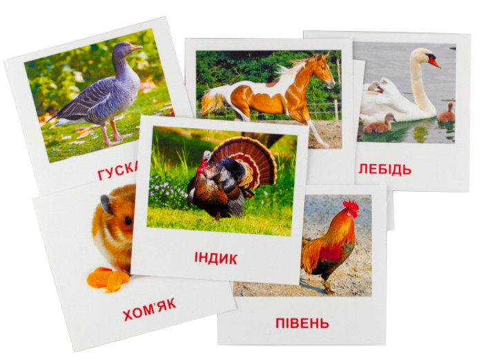 Картки міні 