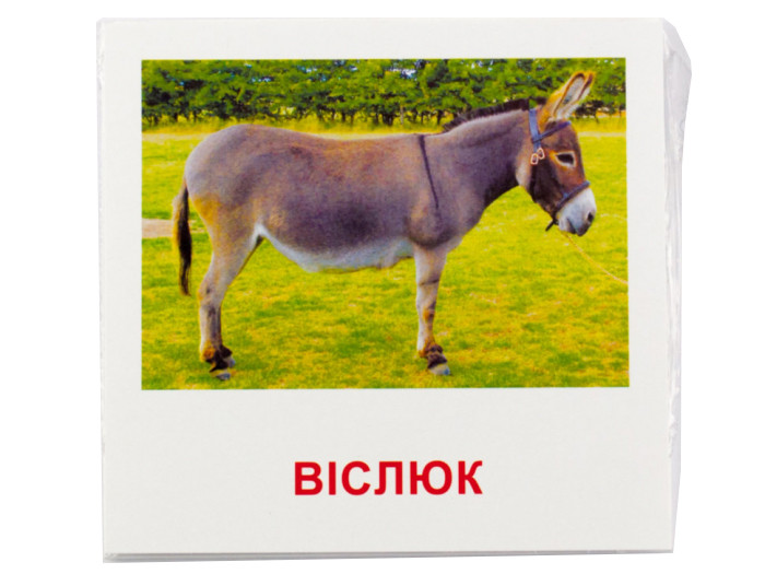 Картки міні 